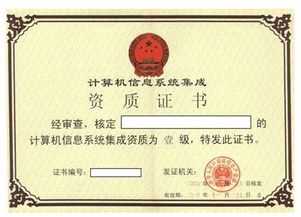 系統(tǒng)集成一級(jí)資質(zhì)標(biāo)準(zhǔn)下的軟件開(kāi)發(fā)業(yè)績(jī)要求